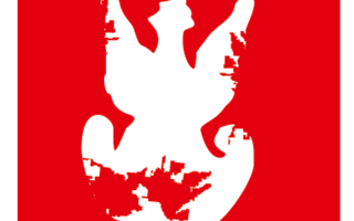 Bieg Niepodległości