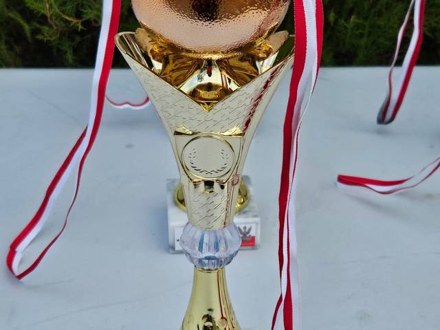 Obraz przedstawiający Podsumowanie Grand Prix Piastowskich Biegów Historycznych